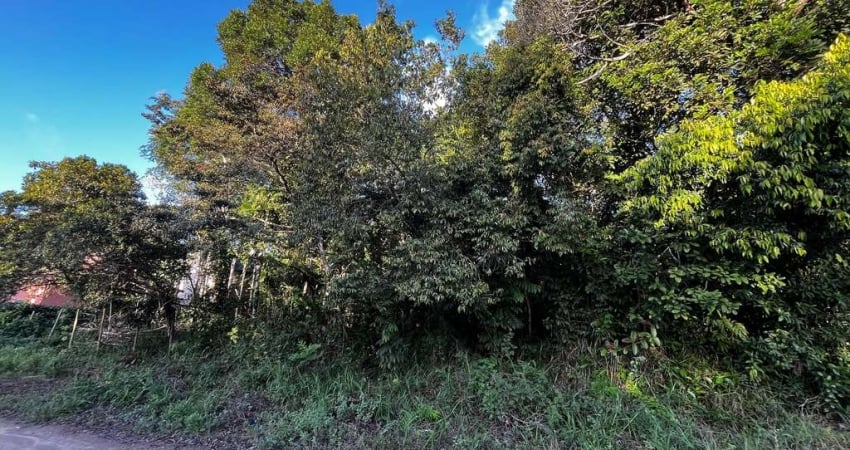 Terreno no Bairro Vilas 2