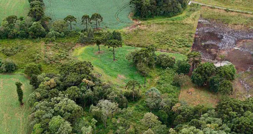 Chácara com 72.600m² na Estrada do Guairacá