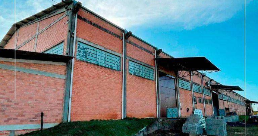 Barracão na BR-277 em Localização Estratégica com Acesso Facilitado!