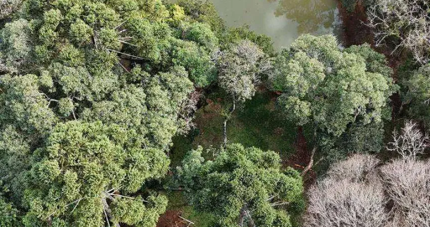 Chácara à venda, 20000 m² por R$ 440.000 - Jordão - 8 km do centro