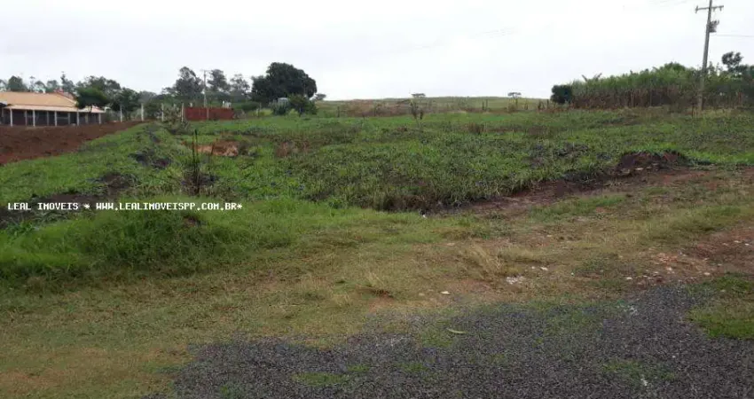 Chácara para Venda em Alfredo Marcondes, ZONA RURAL