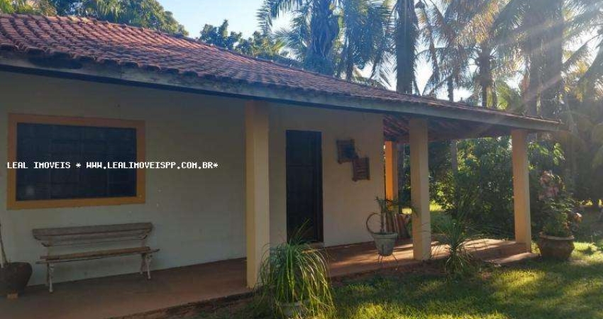 Chácara para Venda em Regente Feijó, CHACARA PAINEIRAS, 2 dormitórios, 1 banheiro