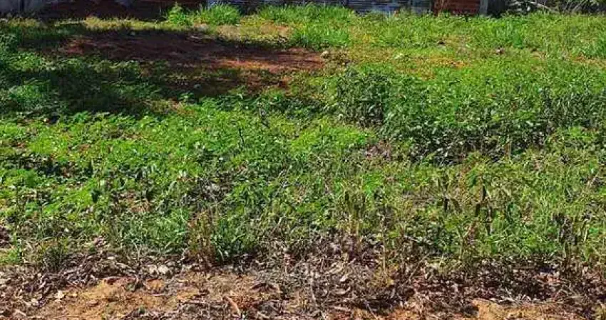 Terreno em Condomínio para Venda em Paulicéia, CONDOMÍNIO RESIDENCIAL ILHA TIBIRIÇA