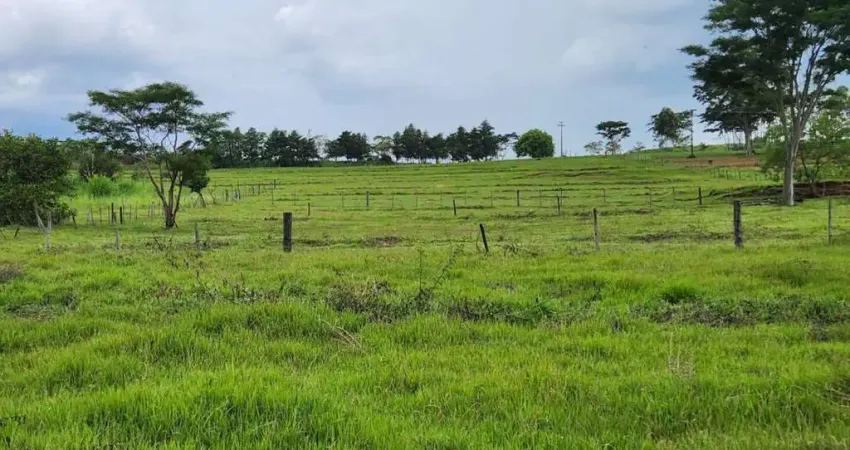 Chácara para Venda em Alfredo Marcondes, CHÁCARA ALFREDO MARCONDES