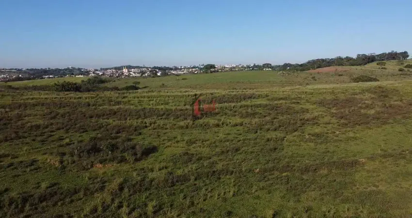 Área para Venda em Presidente Bernardes, SITIO SANTO ANTONIO