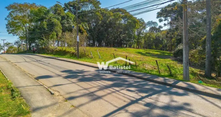 Terreno à venda, 15 m² por R$ 3.200.000,00 - Arruda - Colombo/PR