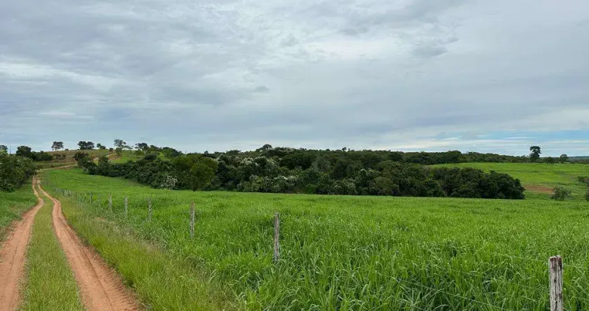 Fazenda em Camapuã MS