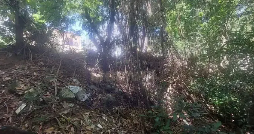 Terreno em Padre Belizario, Campo GramdeRJ - 9X25M²