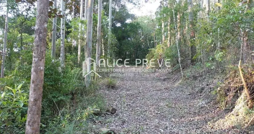 Terreno à venda na Próximo ao Sítio Marcos e Amigos, Rio do Poncho, Centro, São Bonifácio