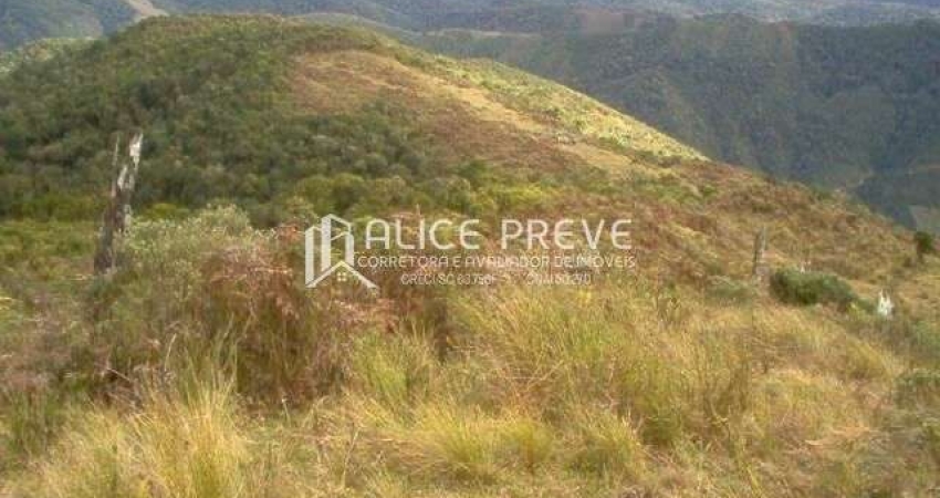 Terreno à venda no Centro, Anitápolis 