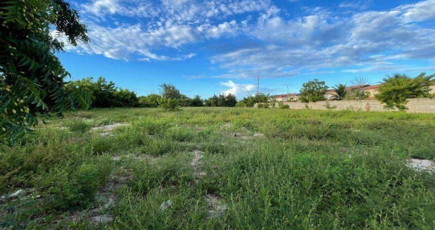 Área à venda, 5000 m² por R$ 4.000.000 - Ipojuca - Ipojuca/Pernambuco