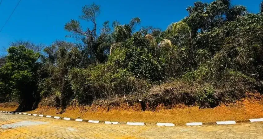Terreno em condomínio fechado à venda na Rua dos Tucanos, 1, Chácaras Condomínio Recanto Pássaros II, Jacareí