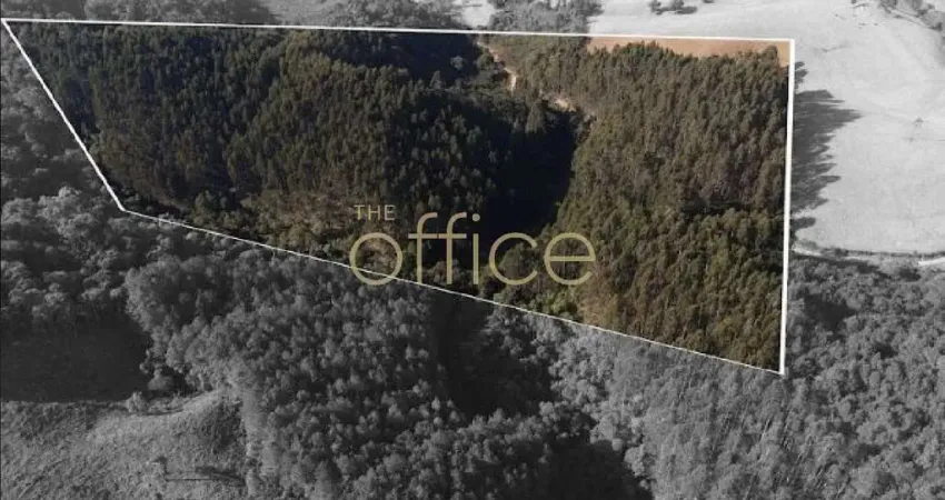EXTENSO TERRENO À VENDA EM CAMPO ALEGRE, 80509 M² - ZONA RURAL/SC-280