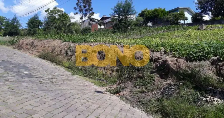 Terreno à venda no Desvio Rizzo, Caxias do Sul 