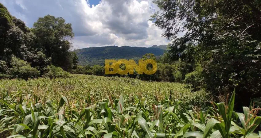 Chácara / sítio à venda no Galópolis, Caxias do Sul 