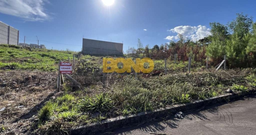 Terreno à venda no São Victor COHAB, Caxias do Sul 