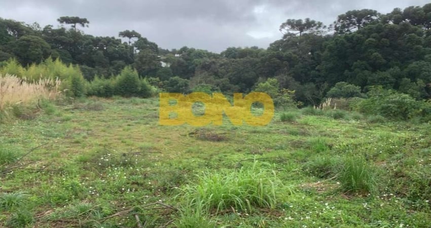 Terreno comercial para alugar no Interlagos, Caxias do Sul 