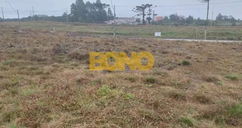 Terreno à venda no Desvio Rizzo, Caxias do Sul 