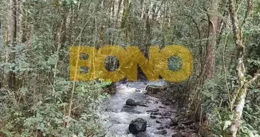 Chácara / sítio à venda no Desvio Rizzo, Caxias do Sul