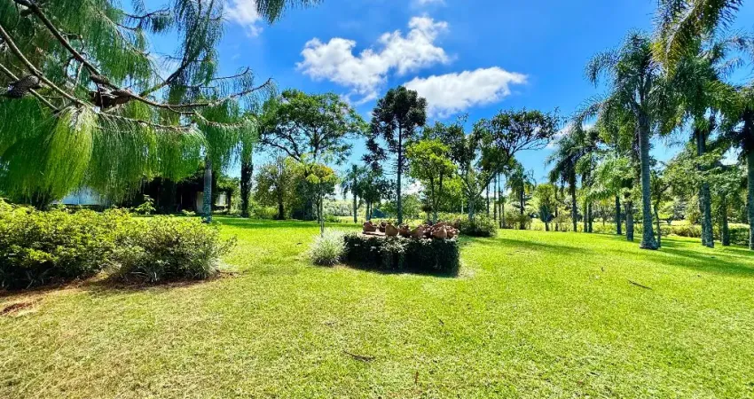 Chácara / sítio com 4 quartos à venda no Balneário Novo Pinhal, Itaara 