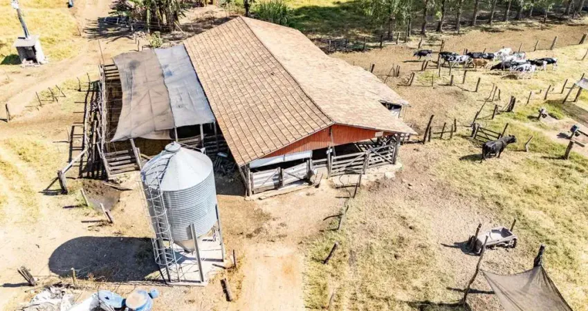 Fazenda de 23,5 alqueires a 8 km de Heitoraí e 140 km de Goiânia