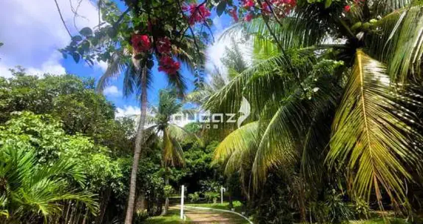 Chácara / sítio com 3 quartos à venda na Rodovia RN-313, 141, Alcaçuz, Nísia Floresta