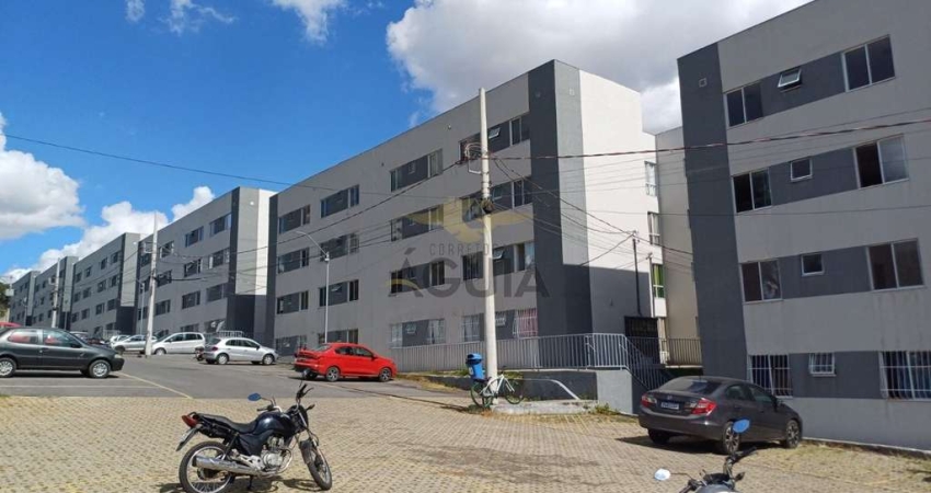 Apartamento com 2 quartos à venda na Sete, 560, Nova Pampulha, Vespasiano