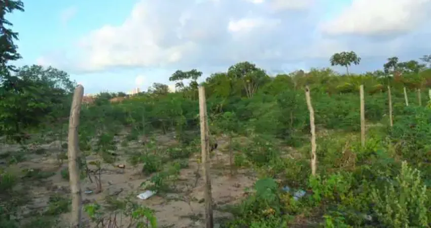 Terreno para vender, cond. Parque das Árvores, com área de 1.000 m².