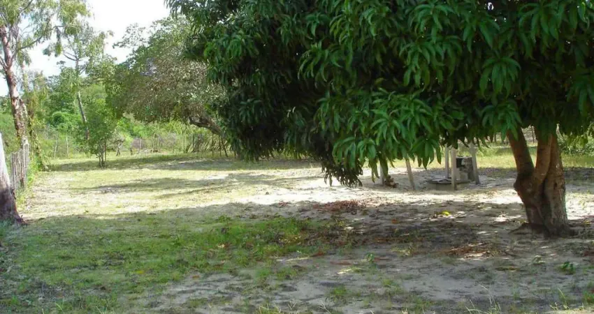 Área com 4.000 m² a venda em Pium
