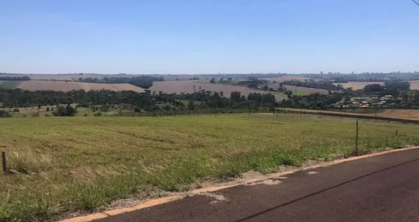 Terreno à venda, 1562 m² por R$ 695.000,00 - Esperança - Londrina/PR