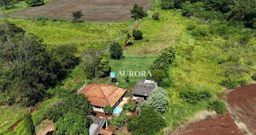 Chácara à venda, 26000 m² por R$ 1.300.000,00 - Patrimônio Regina - Londrina/PR