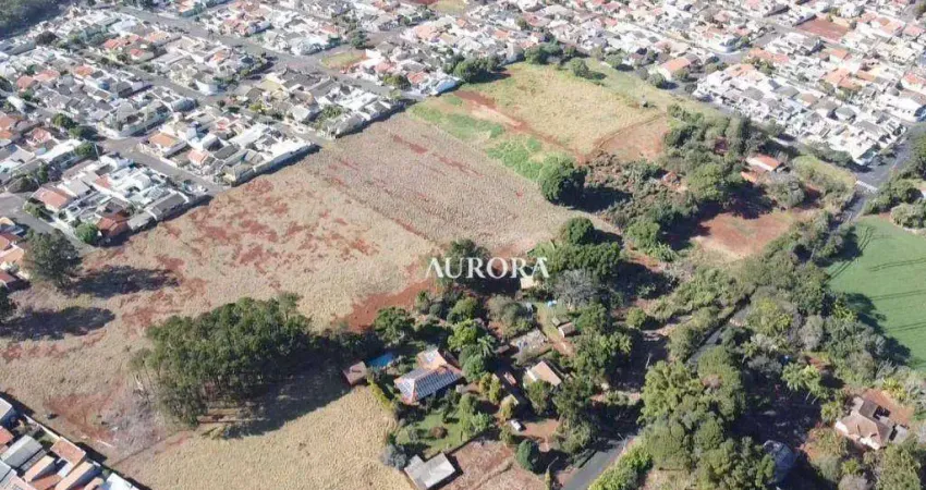 Terreno à venda, 24200 m² por r$ 5.500.000,00 - jardim capricornio - rolândia/pr