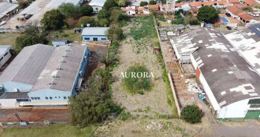 Terreno comercial à venda na Avenida Governador Roberto da Silveira, 2127, Barra Funda, Apucarana
