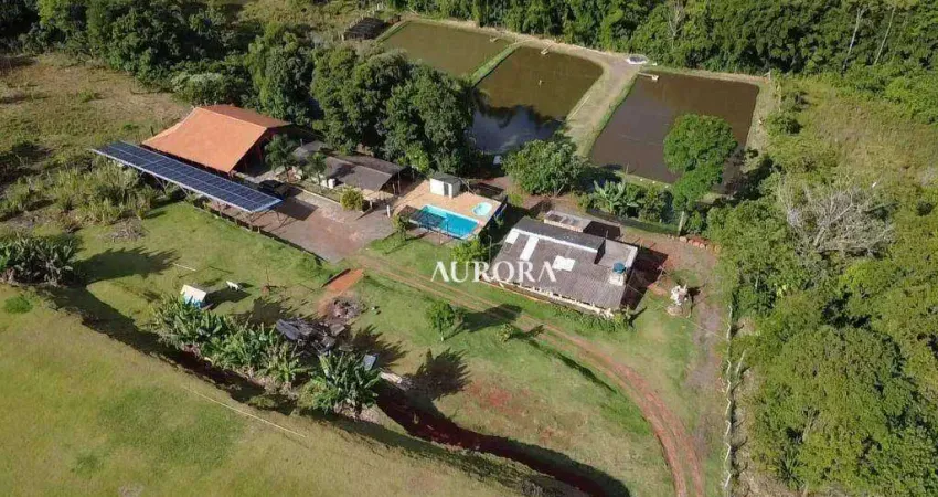Chácara com 6 dormitórios à venda, 15000 m² por r$ 1.950.000,00 - recanto rancho ringo - cambé/pr