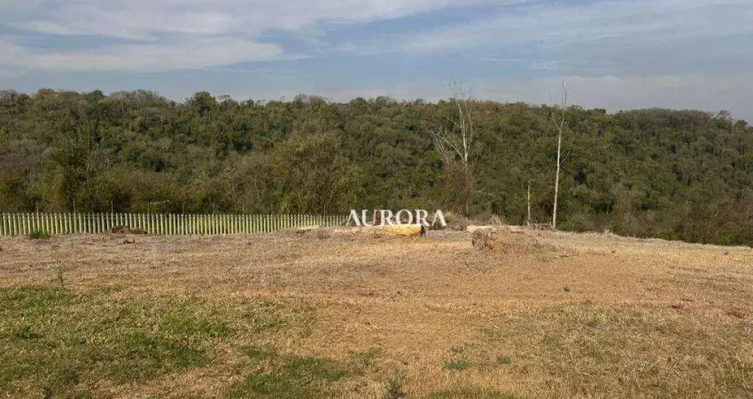 Terreno à venda, 2800 m² por r$ 4.390.000,00 - vivendas do arvoredo - londrina/pr
