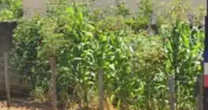 Terreno à venda na Rua Juruna, Distrito Industrial de Ibirité, Ibirité