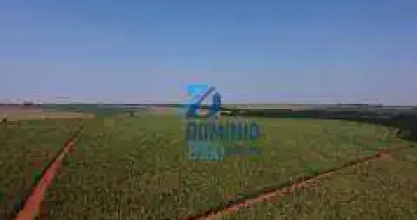 Fazenda à venda na Área Rural, Área Rural de Uberaba, Uberaba