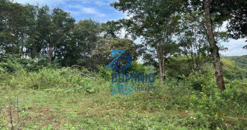 Terreno à venda na Avenida Pedro Lucas, Fabrício, Uberaba