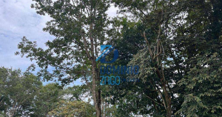 Terreno à venda na Avenida Pedro Lucas, Fabrício, Uberaba
