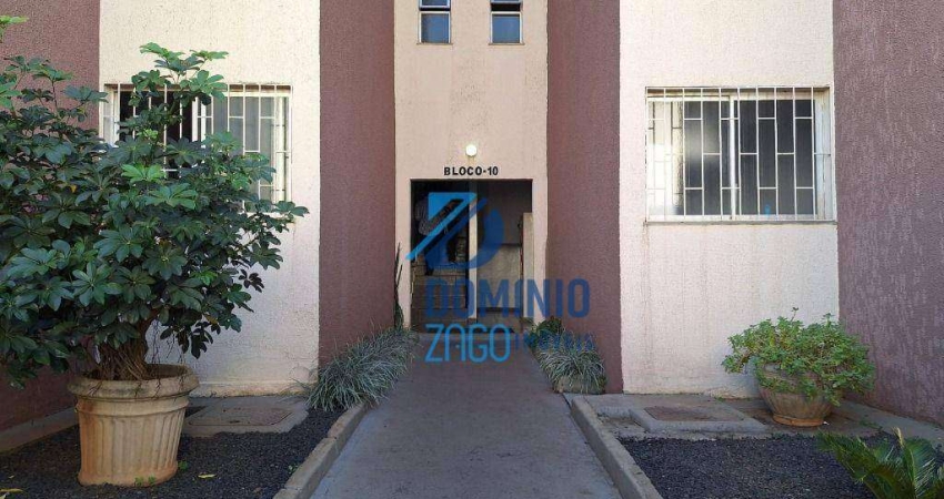 Apartamento com 3 dormitórios à venda, 74 m² por R$ 300.000 - Segismundo Pereira - Uberlândia/MG