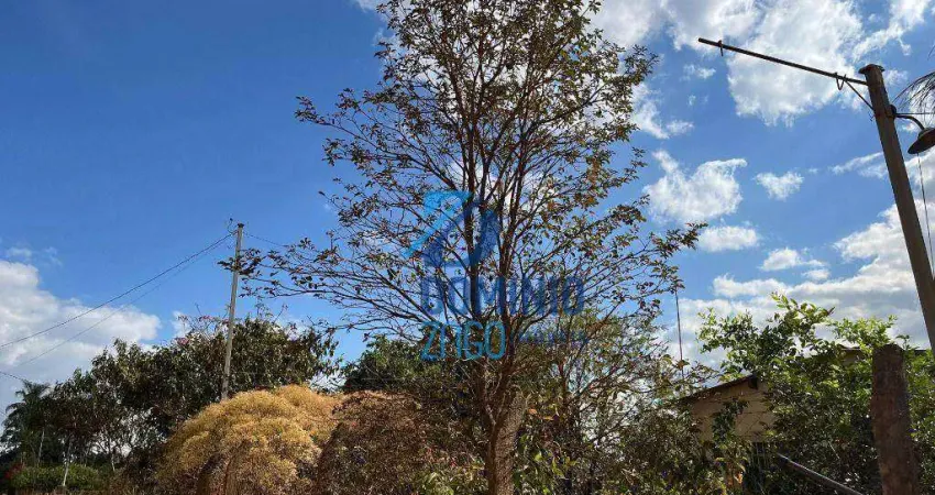 Chácara com 3 dormitórios à venda, 5500 m² por r$ 290.000 - santa fé - uberaba/mg