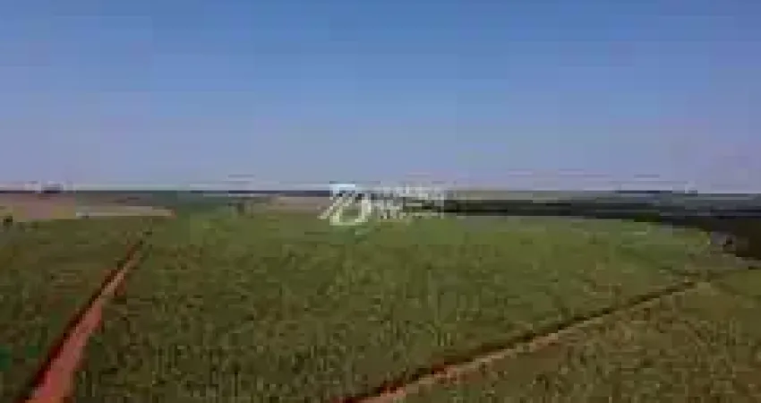 Chácara / sítio à venda na Área Rural, Área Rural de Uberaba, Uberaba