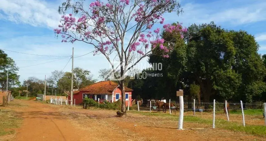 Chácara / sítio com 4 quartos à venda na Alameda Oitis, Recanto das Flores, Uberaba