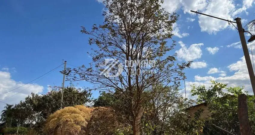 Chácara com 3 dormitórios à venda, 5500 m² por r$ 290.000 - santa fé - uberaba/mg