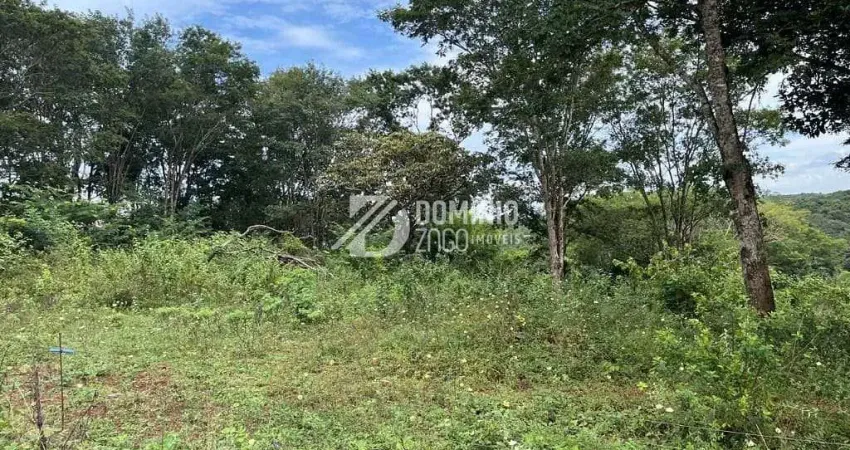 Terreno à venda na Avenida Pedro Lucas, Fabrício, Uberaba