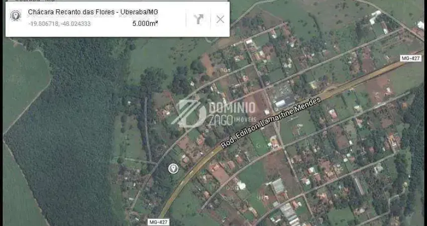 Área à venda, 5000 m² por r$ 600.000,00 - recanto das flores - uberaba/mg