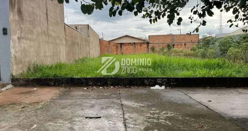 Terreno à venda, 317 m² por r$ 265.000,00 - residencial palmeiras - uberaba/mg