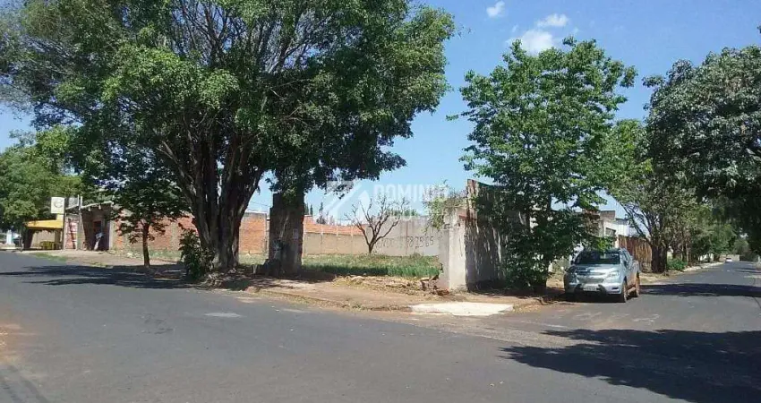 Terreno à venda na Avenida Dona Maria de Santana Borges, Olinda, Uberaba