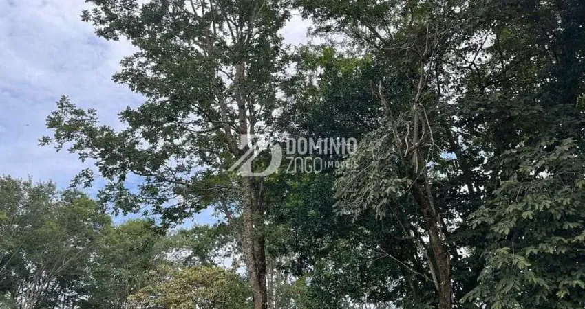 Terreno à venda na Avenida Pedro Lucas, Fabrício, Uberaba