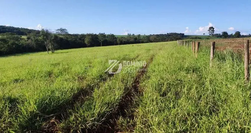 Chácara / sítio com 4 quartos à venda na Área Rural, Área Rural de Uberaba, Uberaba